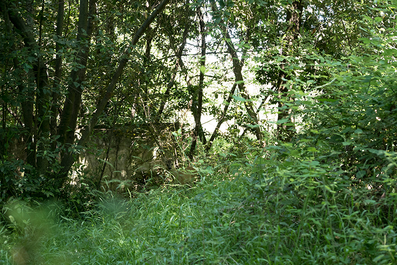 Undici_Settembre_2021_residenza