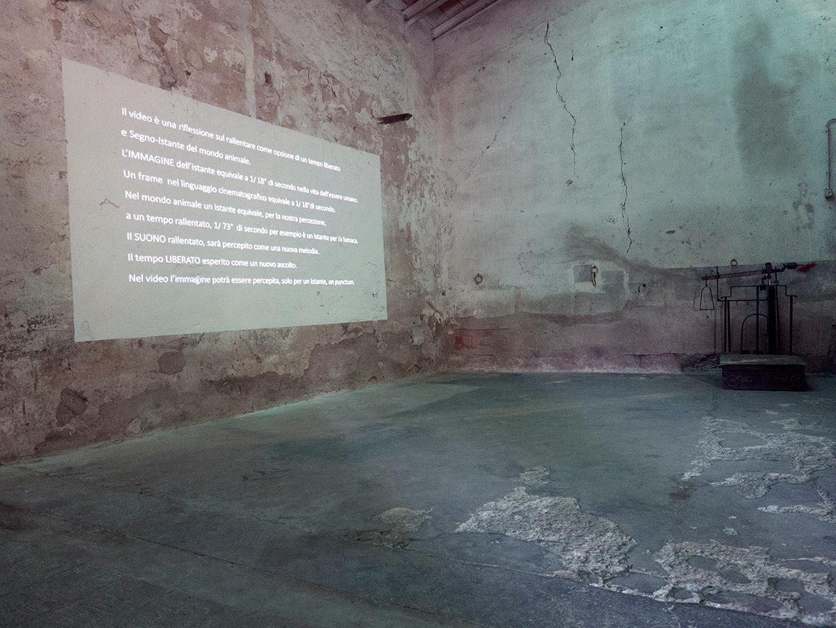 Immagine ambientale Video installazione Segno Istante 