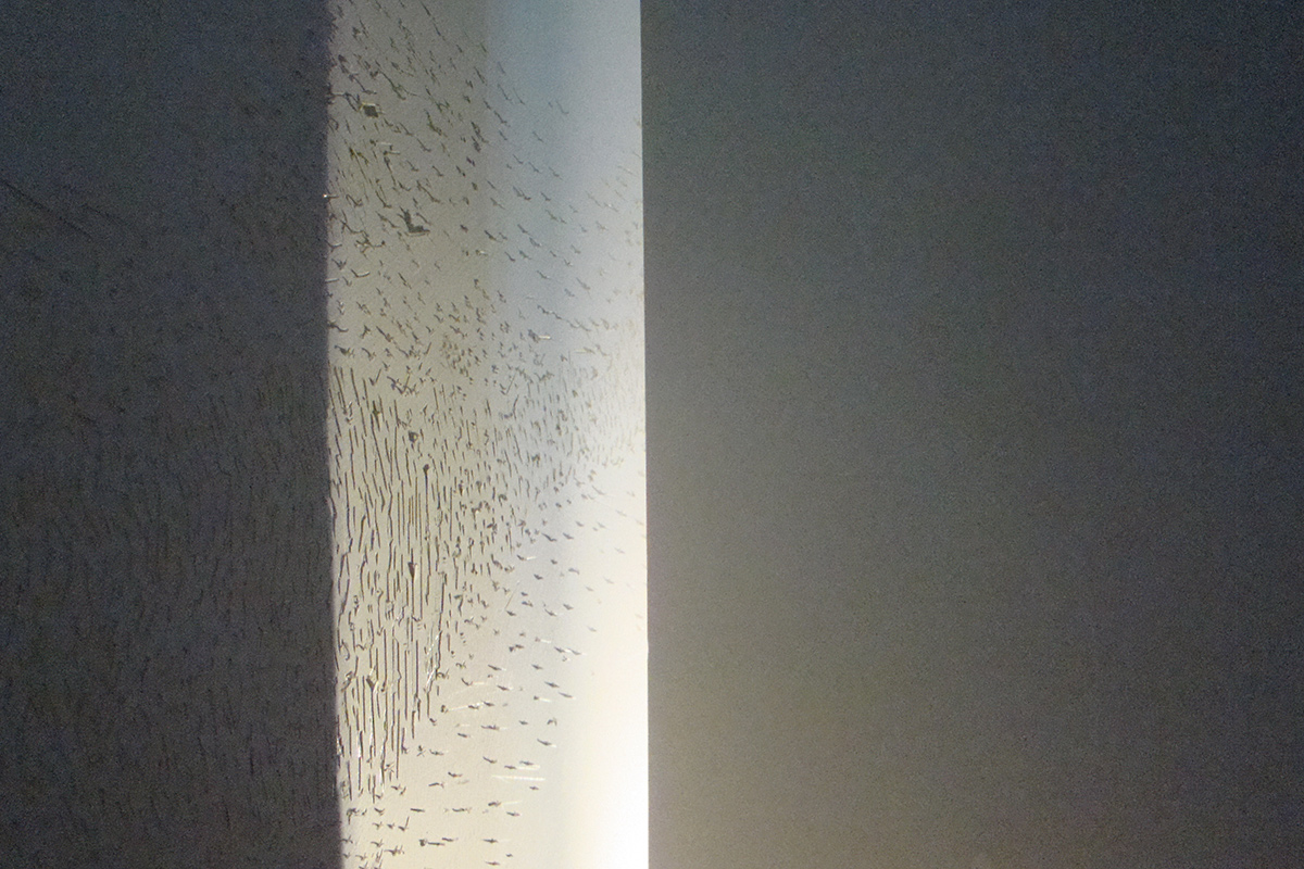 Disegni d’Azzardo, 2015, Firenze, Wall Drawing, Intervento, Open Studio, AMACI