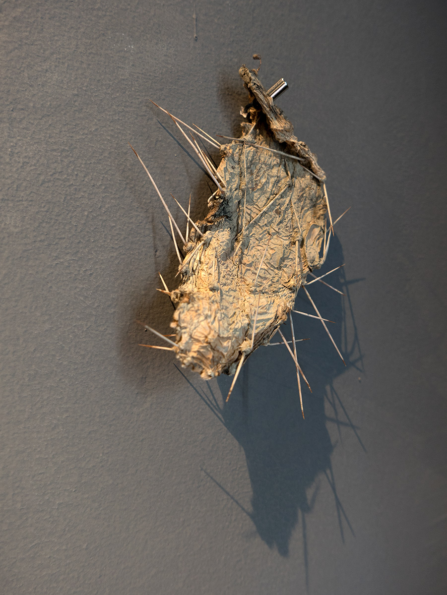 Cristina Gozzini, 2025, Firenze (Il Suono) nella Mano