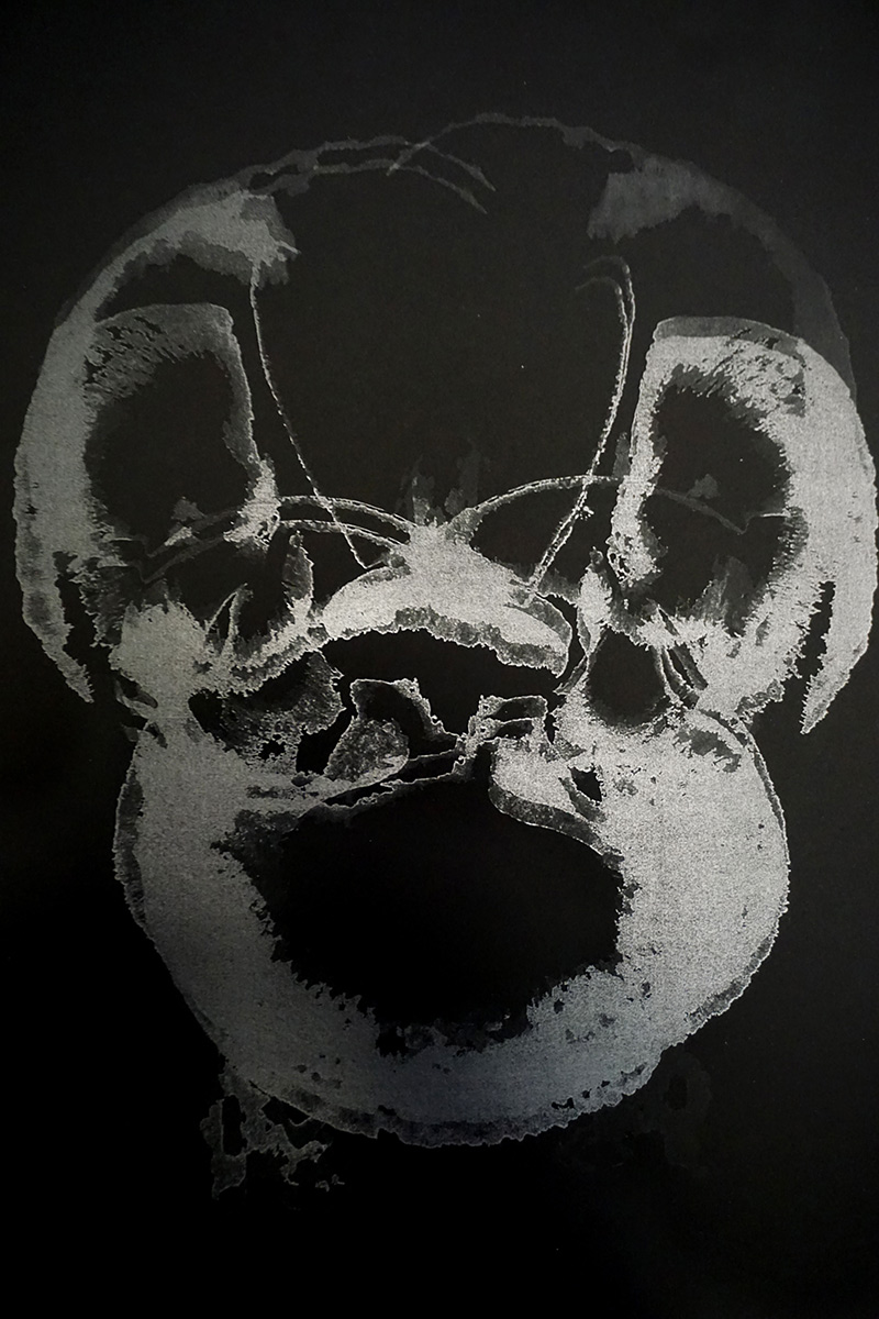 Cristina Gozzini, Fiorenscienza, Nero su nero 2022-2025, Stampa digitale 50x35cm