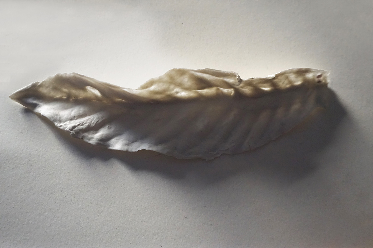 Cristina Gozzini, La Foglia 2018-2025, Porcellana su scatola di legno, 30x10x23 cm