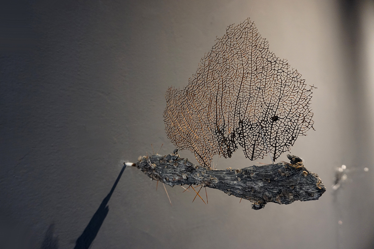 Cristina Gozzini, Sono sempre stata qui II, 2025, Elementi organici, 27x22x4 cm