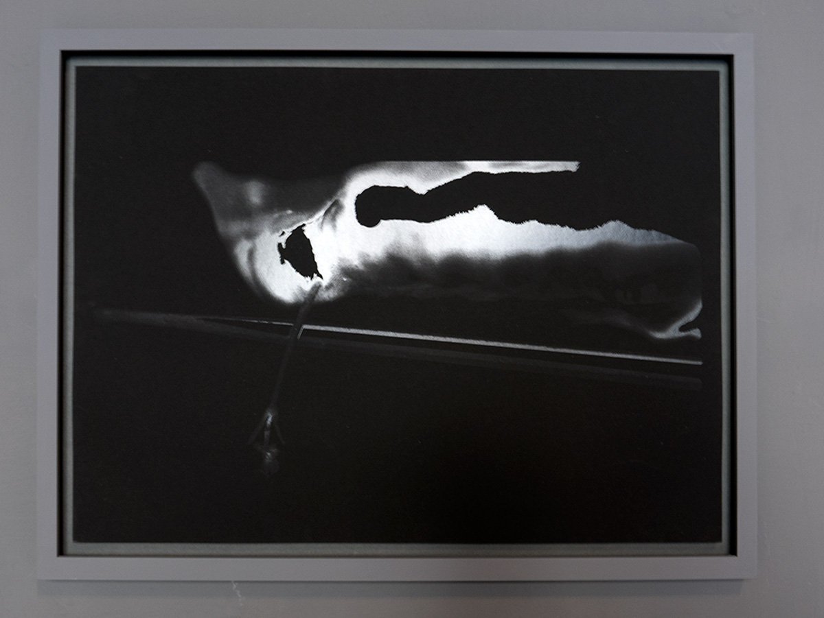 Cristina Gozzini, 2025, Fiorescienza – Ganoderma 2022_2025 – Stampa digitale 50×35 cm 