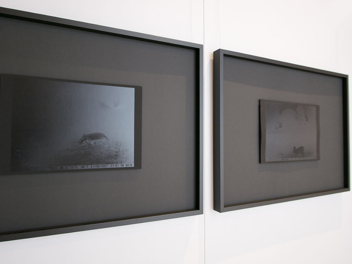 Segno Istante, 2015, Siena