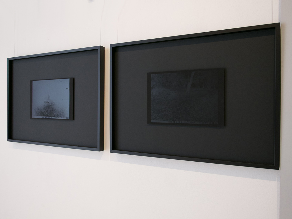 Segno Istante, 2015, Siena