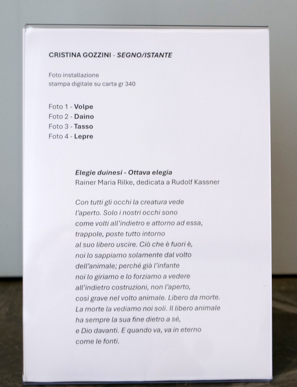 Segno Istante, 2015. Raggioverde, Accademia dei Fisiocritici - Siena.