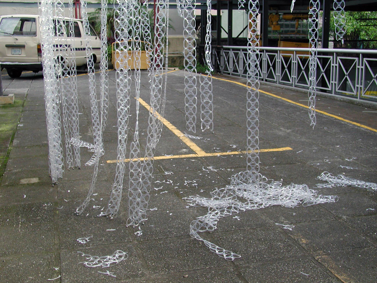 RED/NET 2003