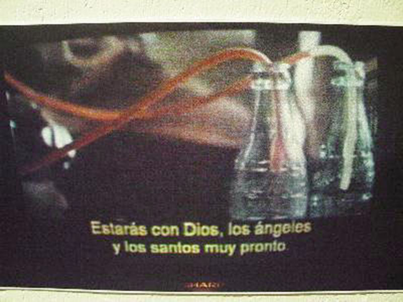 Six Pack 2004