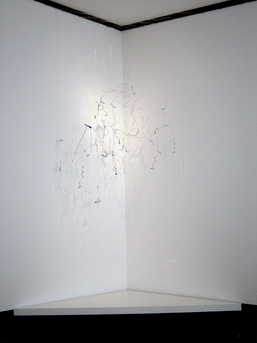 Fragil de Ubicaciòn Especifica, 2004, Vetri, Nylon Dimensione variabile
